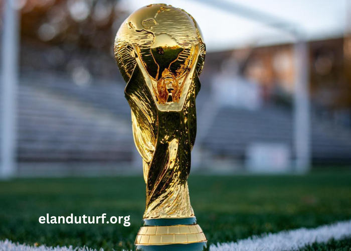 Coupe Du Monde