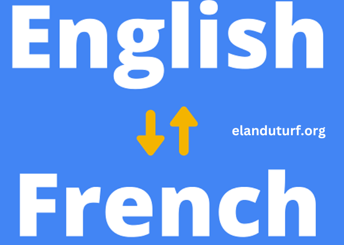 Translate English to French