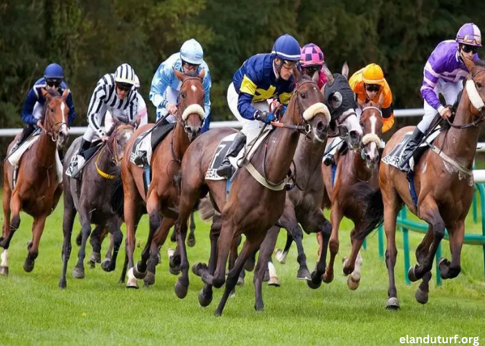 Resultat Des Courses Aujourd’hui