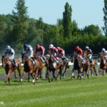 Gain Du Jour en Cfa Aujourd'hui