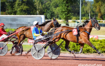 Le Duo Du Turf