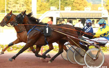 Zetop Trio Gagnant