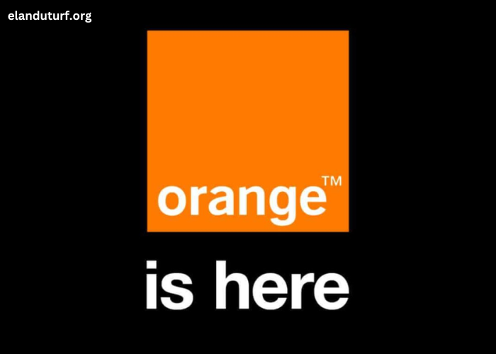 Orange Et Moi: Discover the Unique Concept Behind This Trendy Brand