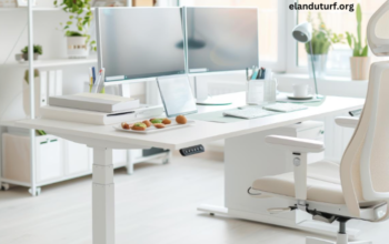 The Benefits of a Sit-Stand Desk: Improve Health and Productivity