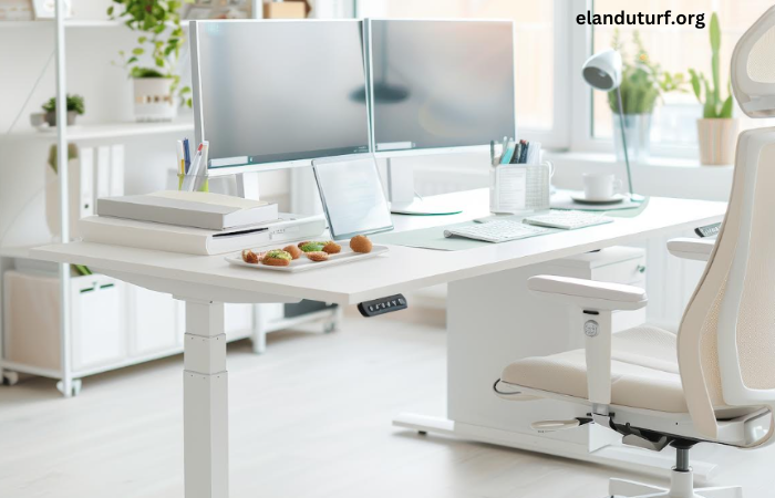 The Benefits of a Sit-Stand Desk: Improve Health and Productivity