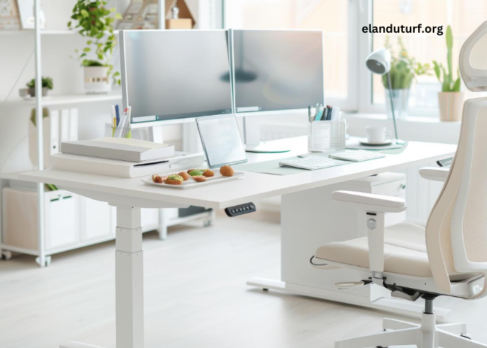 The Benefits of a Sit-Stand Desk: Improve Health and Productivity