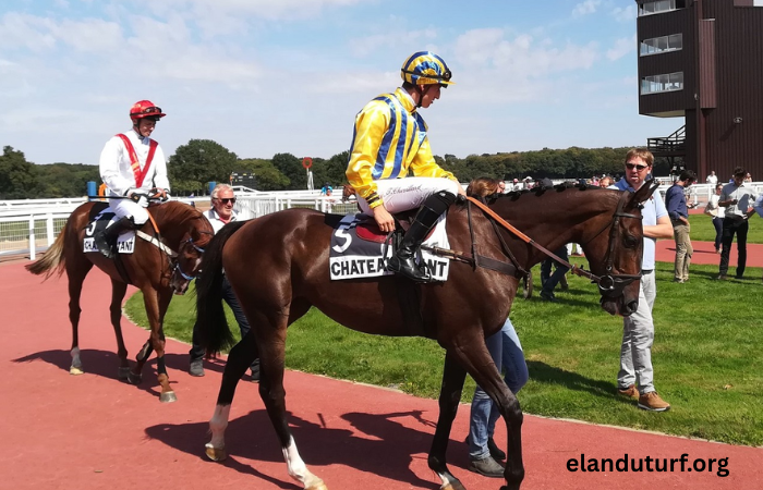 Prono Logique Turf