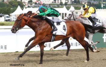 Center Gagnant Pmu