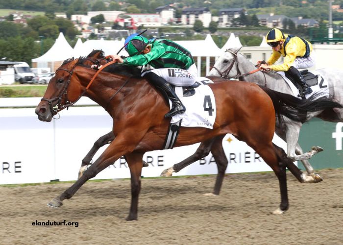 Center Gagnant Pmu