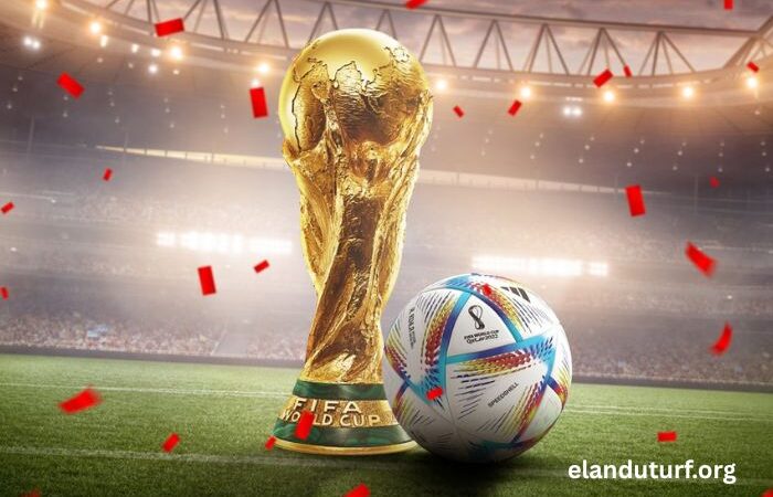 Coupe Du Monde DE Football 2022