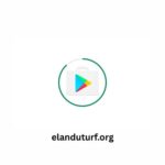Google Play Store (2)