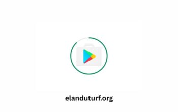 Google Play Store (2)