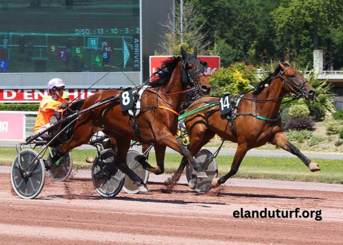 Meilleur Pronostic 3 Chevaux