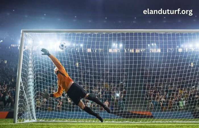 Prono Fiable Gagnant (1)