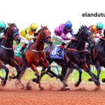 Tierce 100 Gagnant (1)