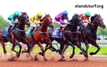 Tierce 100 Gagnant (1)