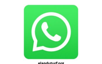 Whatsapp Pour PC