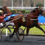 Cheval DE Base Prono