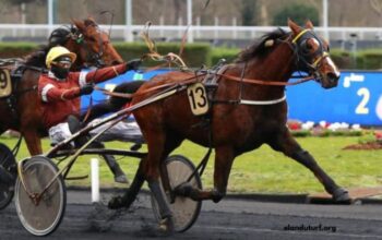 Cheval DE Base Prono