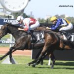 Les 4 Gagnants Vip