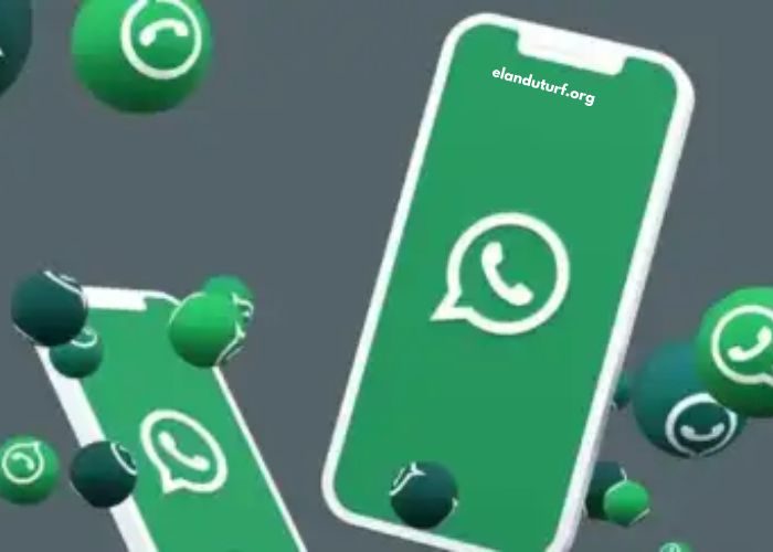 Mise À Jour Whatsapp Gb