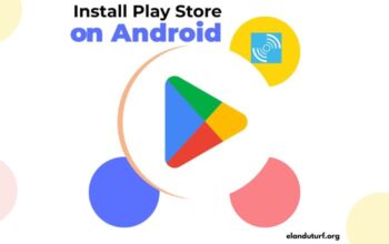 Play Store Apk