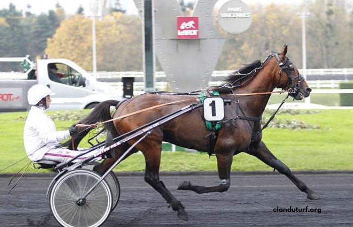 Tierce100pour100 Sur