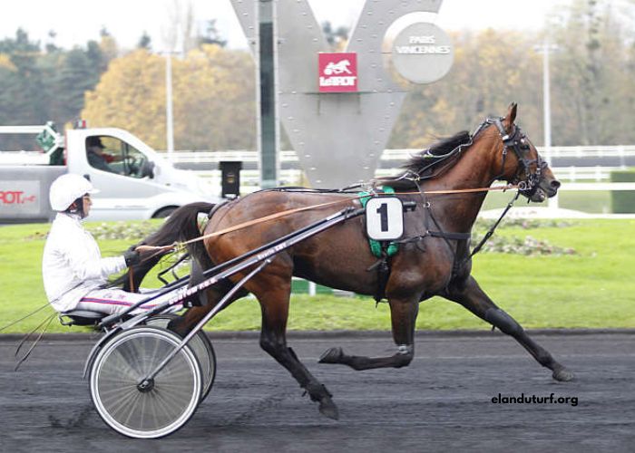Tierce100pour100 Sur