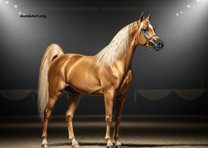 Cheval en OR