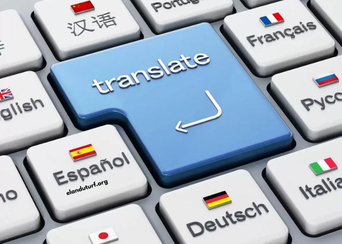 Google Traduction Français Anglais