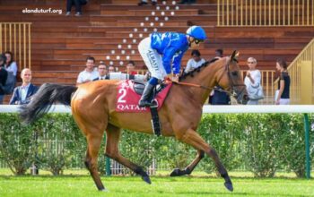 Pronostic Gratuit Turf 100 (2)