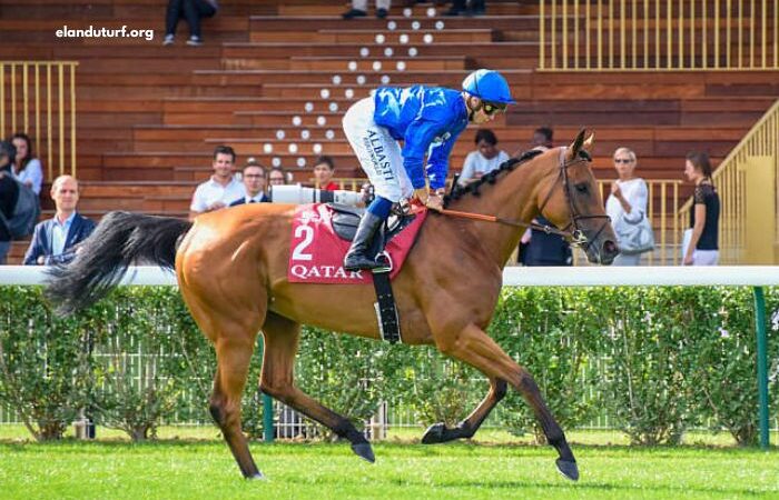Pronostic Gratuit Turf 100 (2)