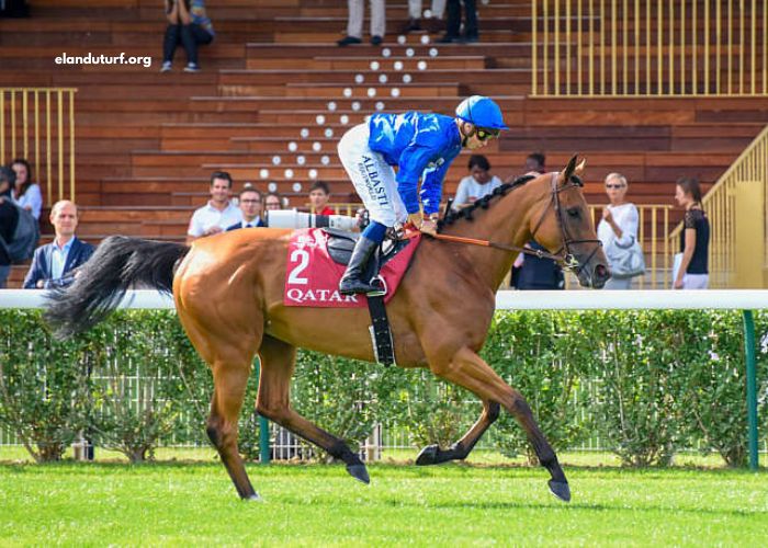 Pronostic Gratuit Turf 100