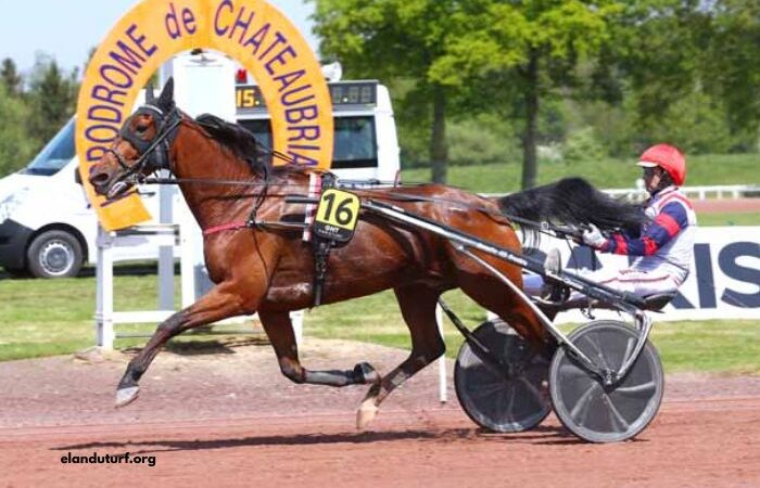 Résultat Quinte Du Jour